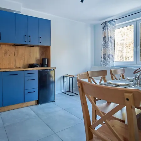 Апартаменты Wakacyjne Debina