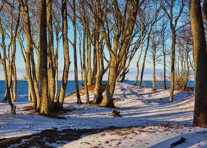 Apartament Wakacyjne Dębina